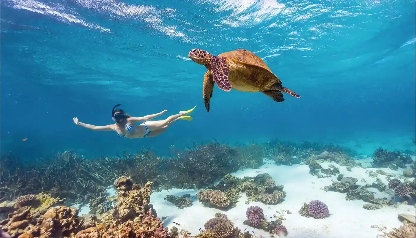 A snorkeller gliding alongside a green sea turtle over a coral reef