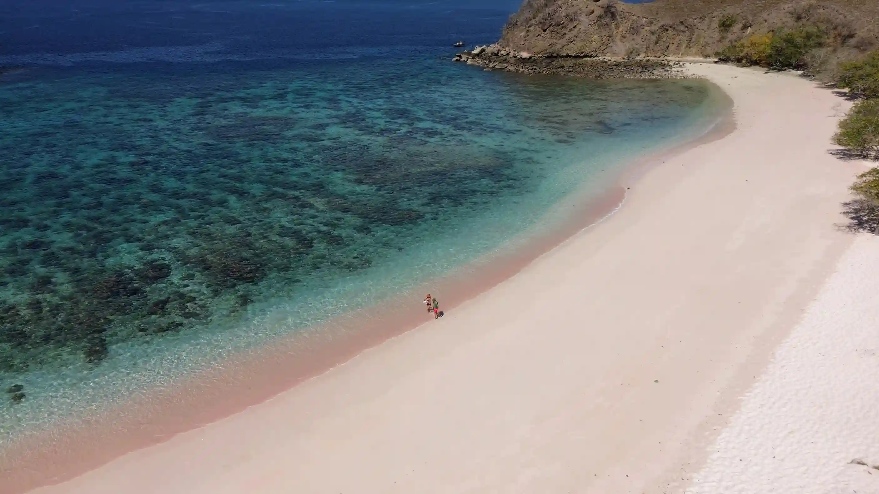Aerial view of Pink Beach in Labuan Bajo, with clear turquoise water and coral visible beneath the surface