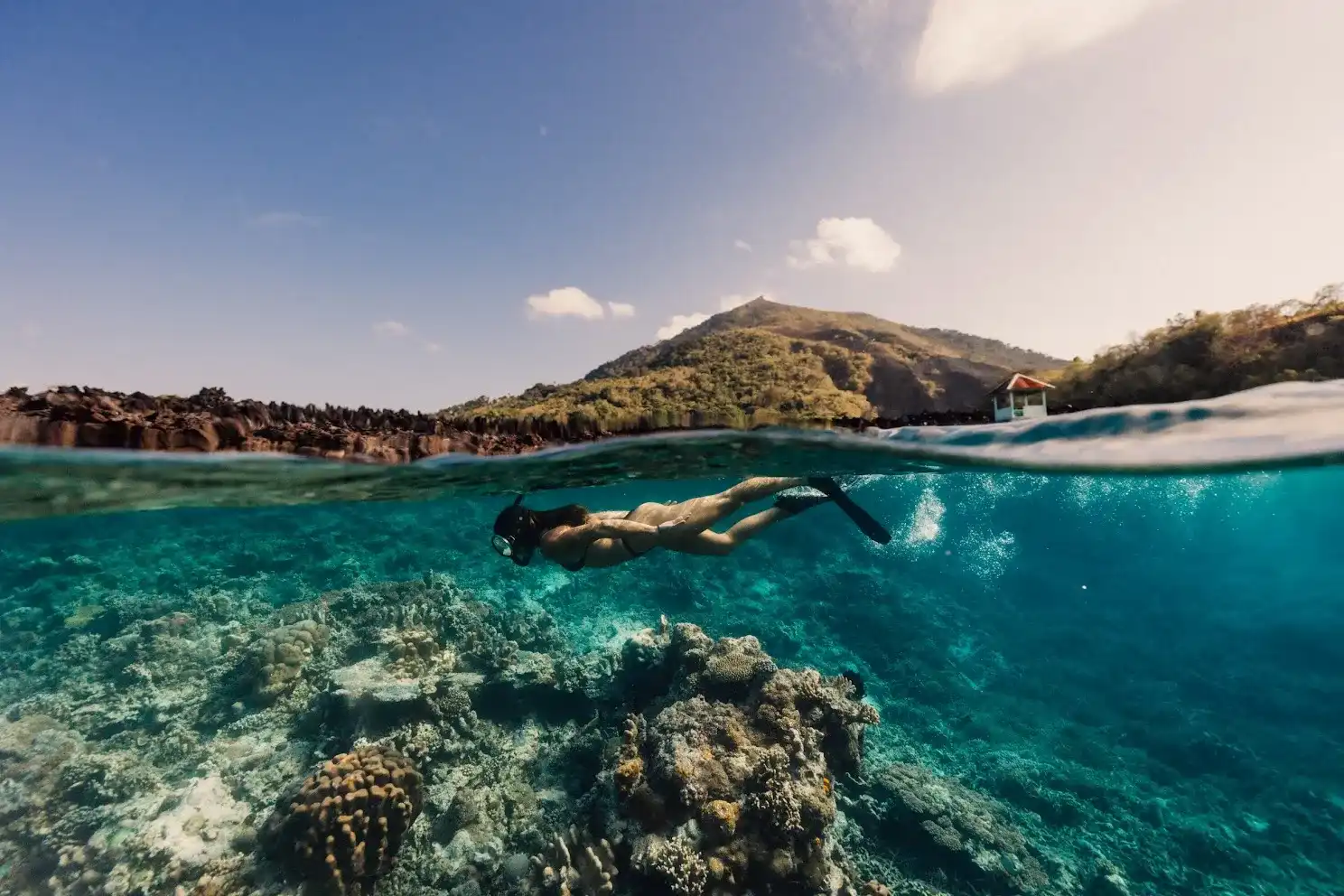 Split over-under shot of a snorkeller gliding above a coral reef, with a forested Komodo island hillside above the waterline