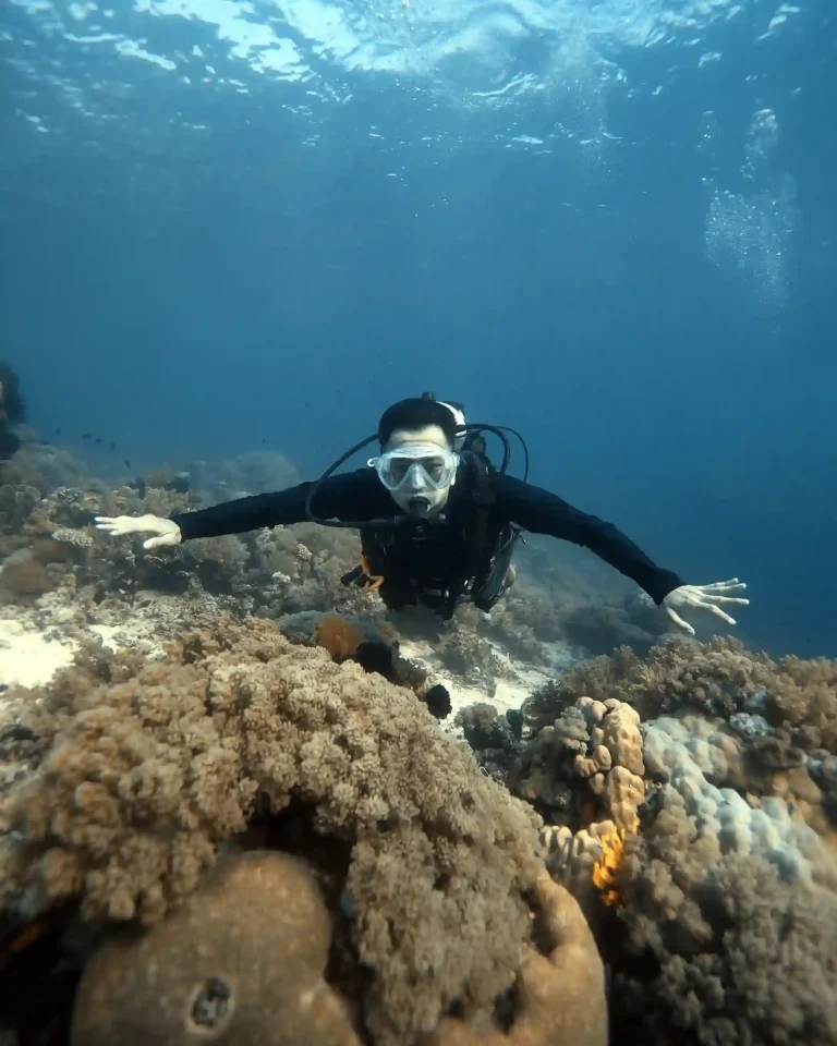 Scuba diver exploring a coral reef in Komodo's currents