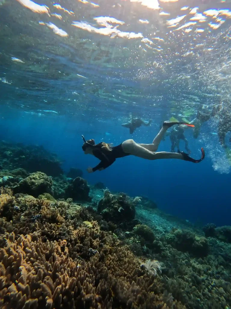 Snorkeler exploring a coral reef in Raja Ampat