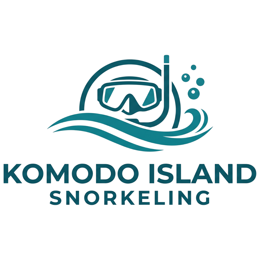 Komodo Island Snorkeling